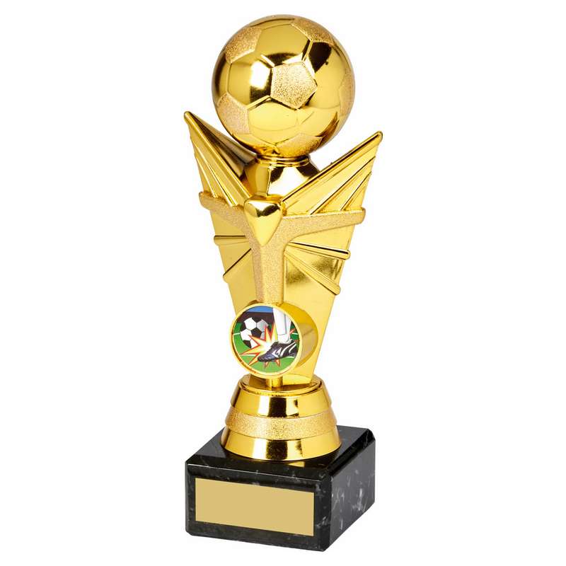 Frequently Asked Questions About Trophies