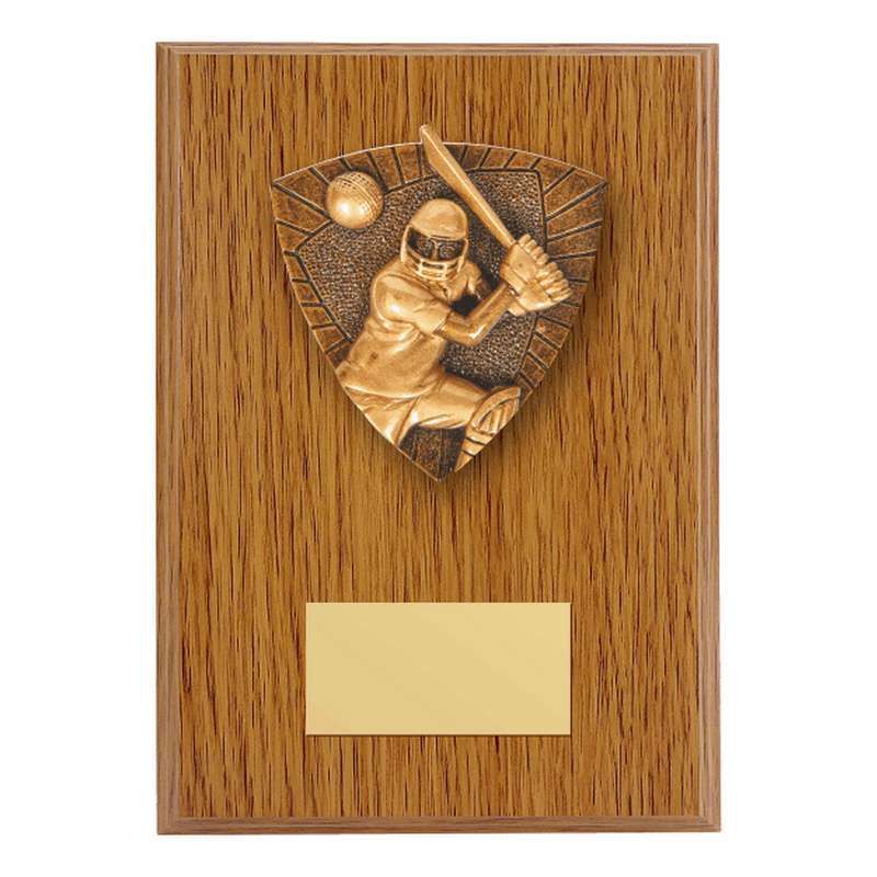 Cricket Trophies: Excellent Value and Designs
